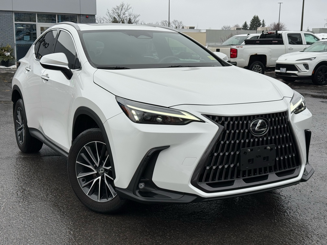 Lexus NX 350 Premium AWD 2024