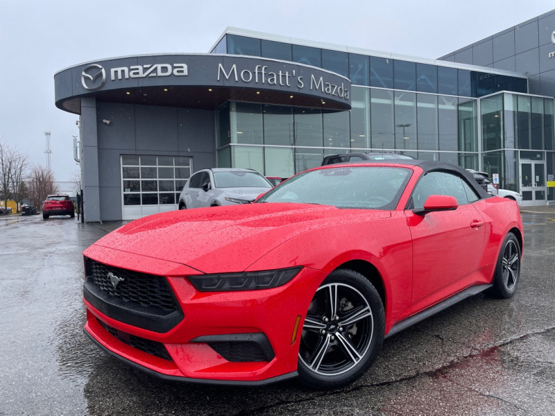 Red 2025 Ford Mustang EcoBoost Convertible RWD Convertible Rear-Wheel Drive Automatic