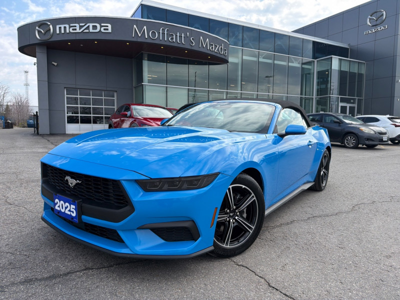 Blue 2025 Ford Mustang EcoBoost Premium Convertible RWD Convertible Rear-Wheel Drive Automatic