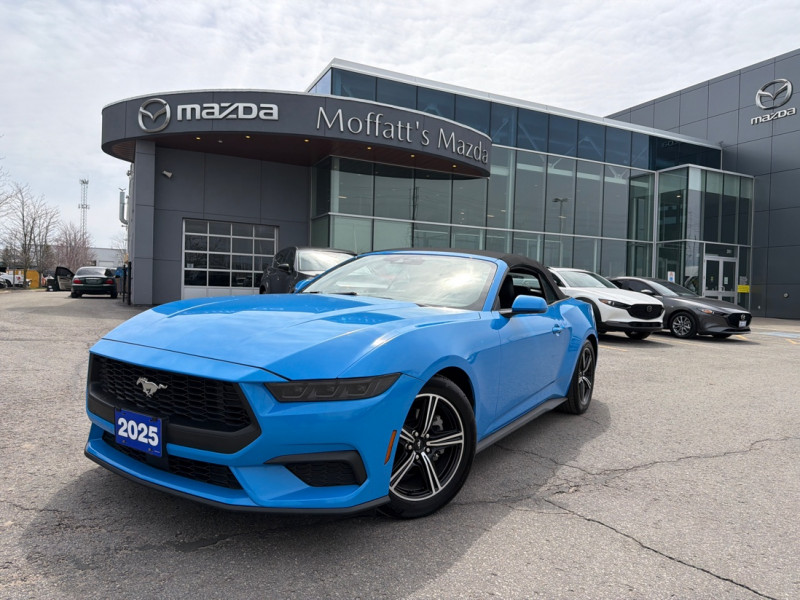 Blue 2025 Ford Mustang EcoBoost Premium Convertible RWD Convertible Rear-Wheel Drive Automatic
