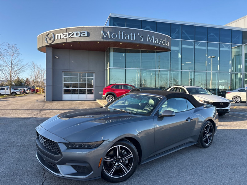 Gray 2025 Ford Mustang EcoBoost Premium Convertible RWD Convertible Rear-Wheel Drive Automatic