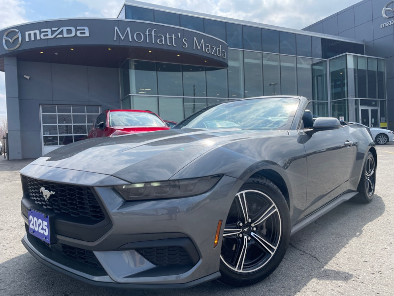 Gray 2025 Ford Mustang EcoBoost Premium Convertible RWD Convertible Rear-Wheel Drive Automatic