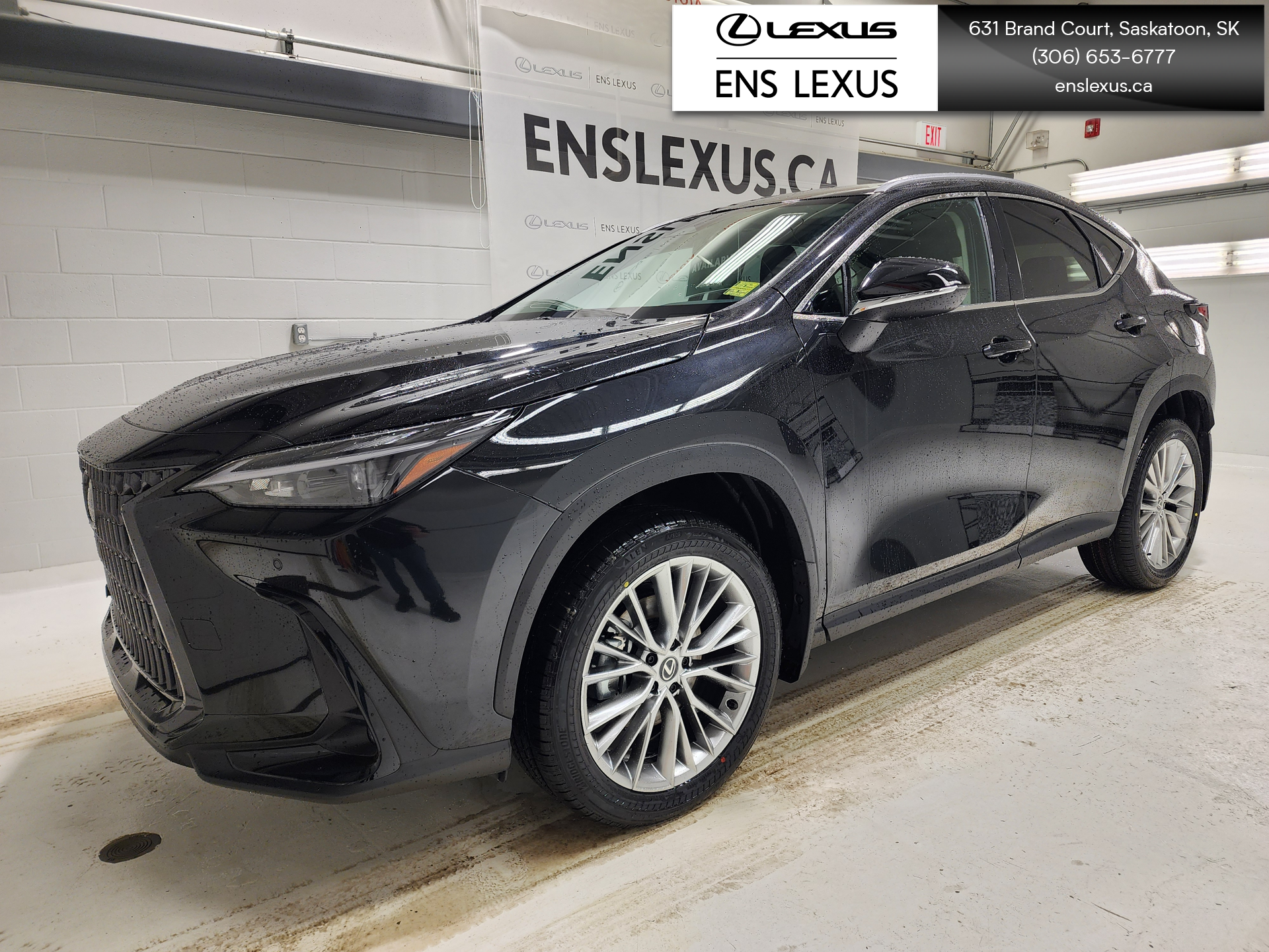 Black (Caviar) 2025 Lexus NX Hybrid SUV / Crossover Automatic