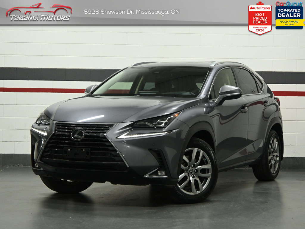 Gray 2020 Lexus NX 300 Luxury AWD SUV / Crossover All-Wheel Drive Automatic