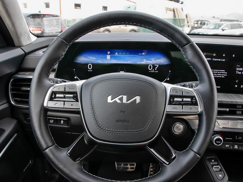 2025 Kia Telluride SX Limited $4450!!! OFF!!! SAVE ON MANAGER DEMO - Panthera Metal Grey exterior view 14