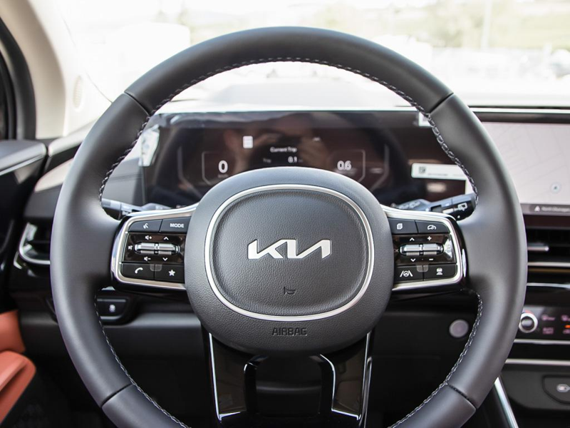 2026 Kia Carnival SX - Premium Audio - Leather Seats - $187.21 /Wk - Thunder Grey exterior view 14
