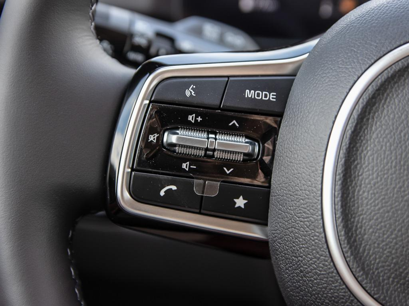 2026 Kia Carnival SX - Premium Audio - Leather Seats - $187.21 /Wk - Thunder Grey exterior view 18