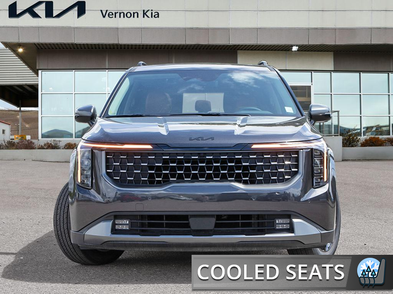 2026 Kia Carnival SX - Premium Audio - Leather Seats - $187.21 /Wk - Thunder Grey exterior view 2